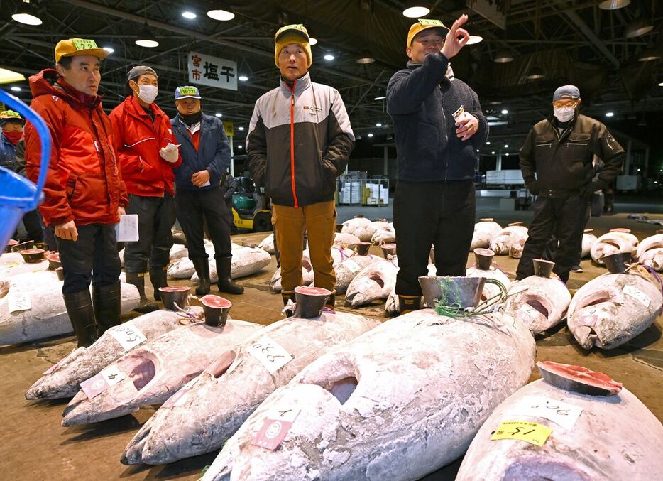 マグロを次々競り落とす仲買人ら＝５日午前５時35分、宇都宮市簗瀬町