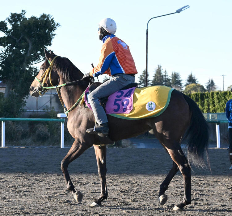 馬場に向かうハードワーカー（撮影・千葉一成）