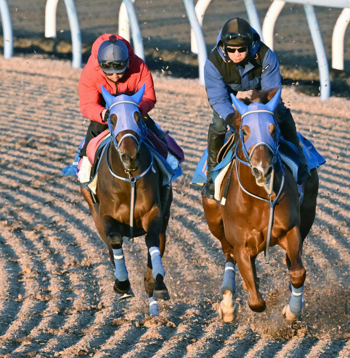 松岡騎手を背にミーントゥビー（左）は美浦ウッドでスズカルビコンと併せて追い切られた（撮影・千葉一成）