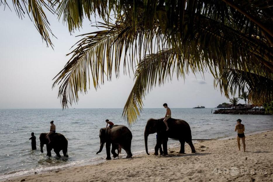 タイの浜辺でゾウに乗る観光客（2023年4月9日撮影、資料写真）。【翻訳編集】 AFPBB News