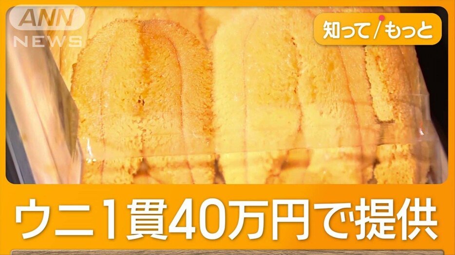 初競りマグロ2億700万円　「税金払わなきゃ」漁師驚き　ウニも最高値1箱700万円