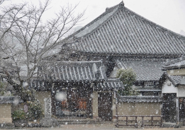 雪が舞う飛鳥寺の山門=9日午前8時38分ごろ、明日香村飛鳥