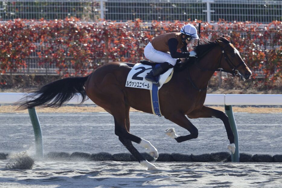 中京1R・ルヴァンユニベールと高倉稜騎手