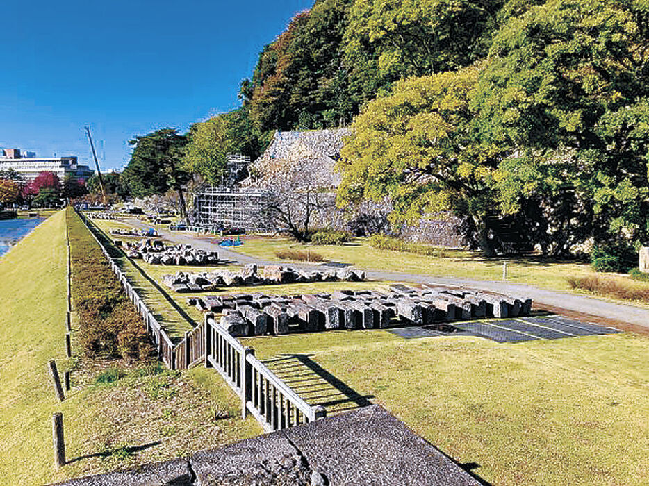 石川県が回収した崩落石垣の石材＝昨年１１月、金沢城公園いもり堀園地（県提供）