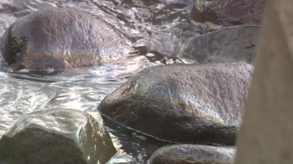 浜辺の岩に付着した「重油」