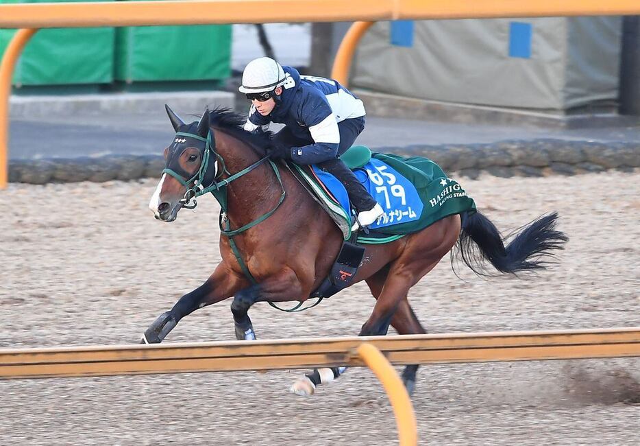 鋭く伸びたアルナシーム。藤岡騎手も好感触だ＝栗東トレセン、撮影・岩川晋也