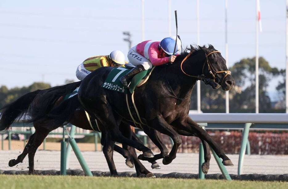 サクラトゥジュールがR・キング騎手を背に京都金杯を制した（撮影・安部光翁）