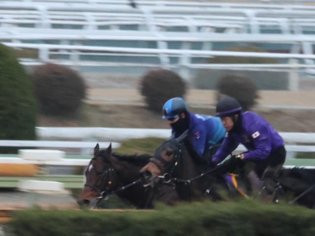 日経新春杯に出走予定のサトノグランツ(写真奥、撮影：井内利彰)