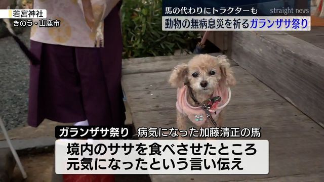 若宮神社(6日・山鹿市)