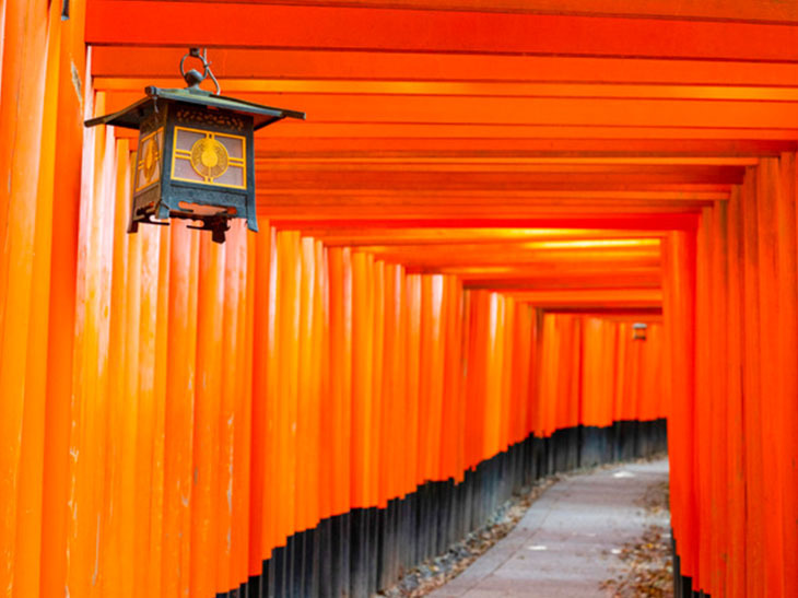 美しい朱塗りの鳥居が連なる圧巻の光景