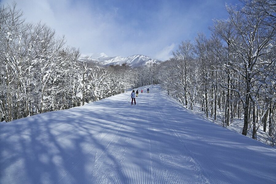 抜群の雪質を求めて海外からやってくるスキーヤーも増え続けている