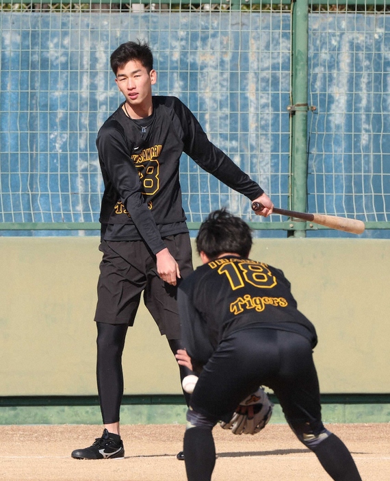 伊原（右）とペアでペッパーを行う阪神・今朝丸（撮影・大森　寛明）