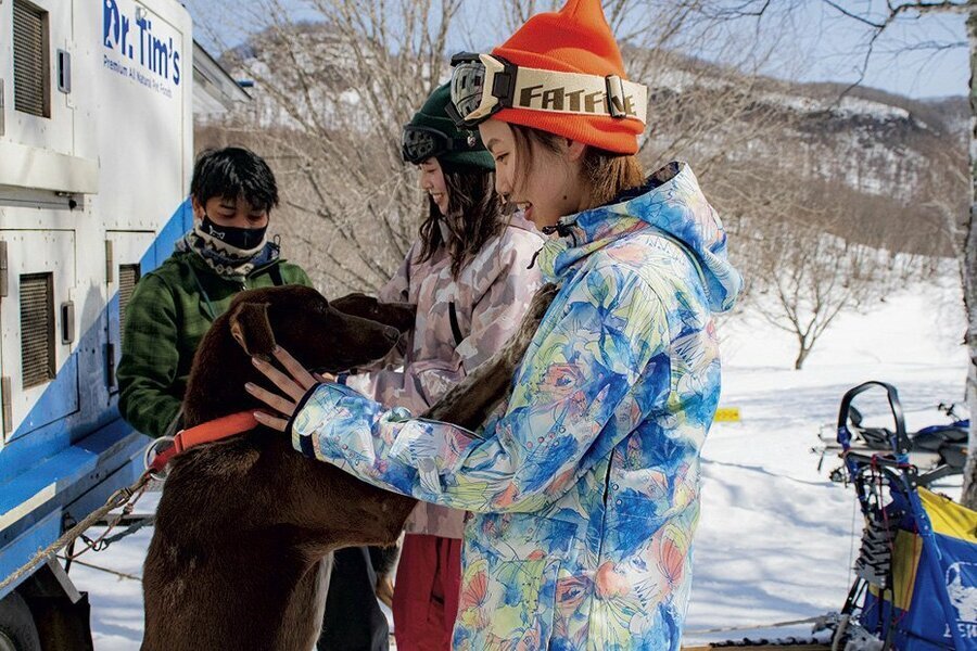 犬たちを撫でてあげたくなる