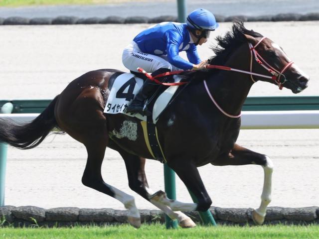 重賞初制覇を目指すタイセイカレント(昨年9月撮影、ユーザー提供：しーにさん)