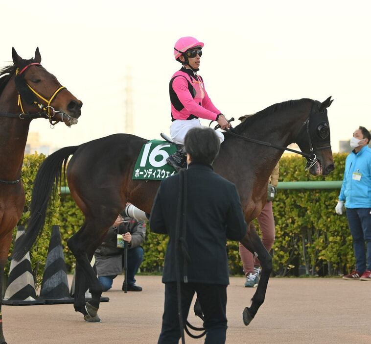 中山金杯で3着に敗れたボーンディスウェイ＝5日、中山競馬場（撮影・奈良武）