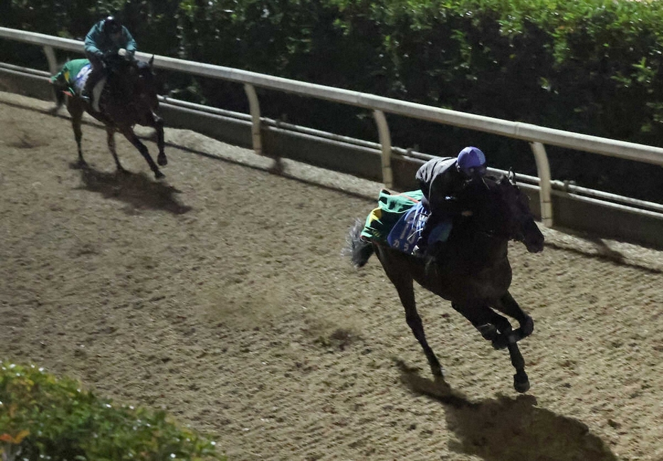 ＜中山金杯＞坂路にて併せ馬で追い切るカラテ（右）（撮影・亀井　直樹）