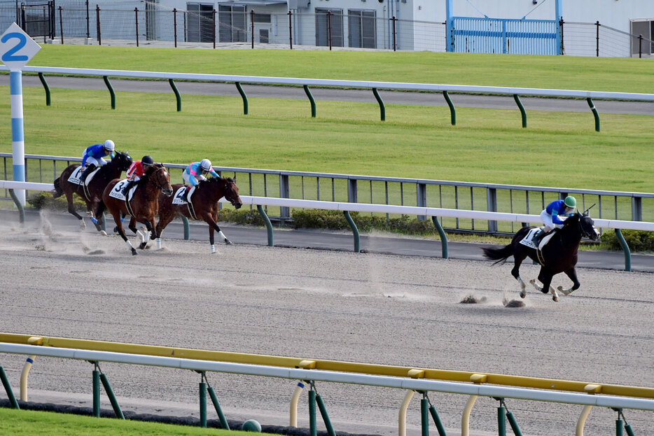 デビュー戦で大差勝ちを収めたスナッピードレッサ