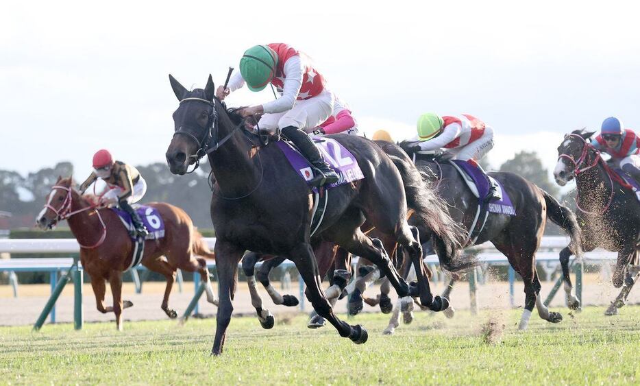 阪神JFを快勝したアルマヴェローチェ