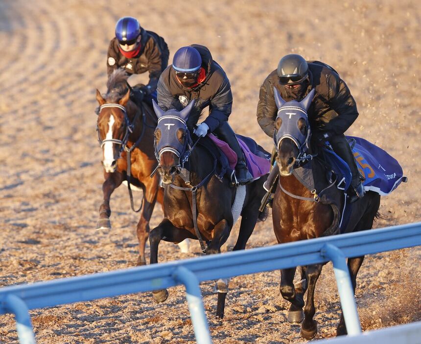 レイユール（中、馬上は嶋田純次騎手）