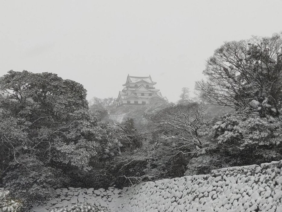 雪化粧した彦根城（1月10日午前、滋賀県彦根市）