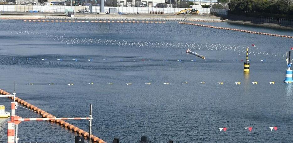 2M付近には鳥の大群が