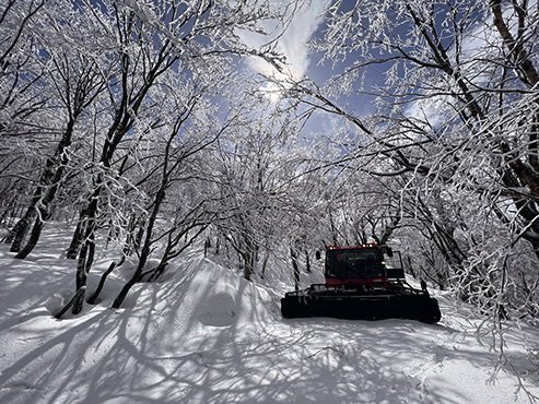 野生動物に遭遇できるかも