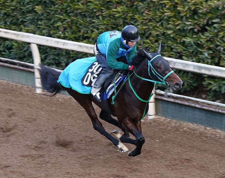 シンザン記念の追い切りを行ったアクルクス（撮影・岩川晋也）