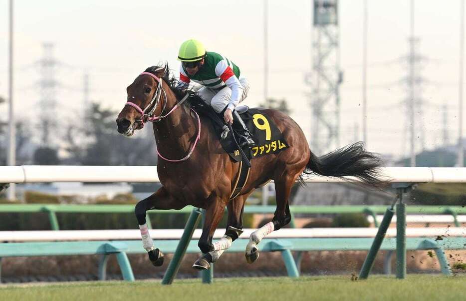 ジュニアCを制しデビュー2連勝のファンダム＝5日、中山競馬場（撮影・奈良武）