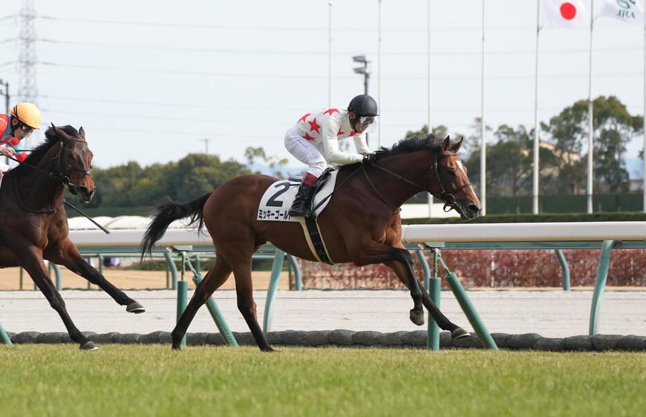 中京7R、3歳1勝クラスを制したミッキーゴールド（撮影・森本幸一）