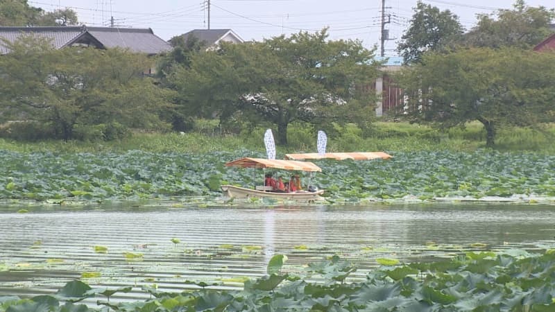 （写真：群馬テレビ）