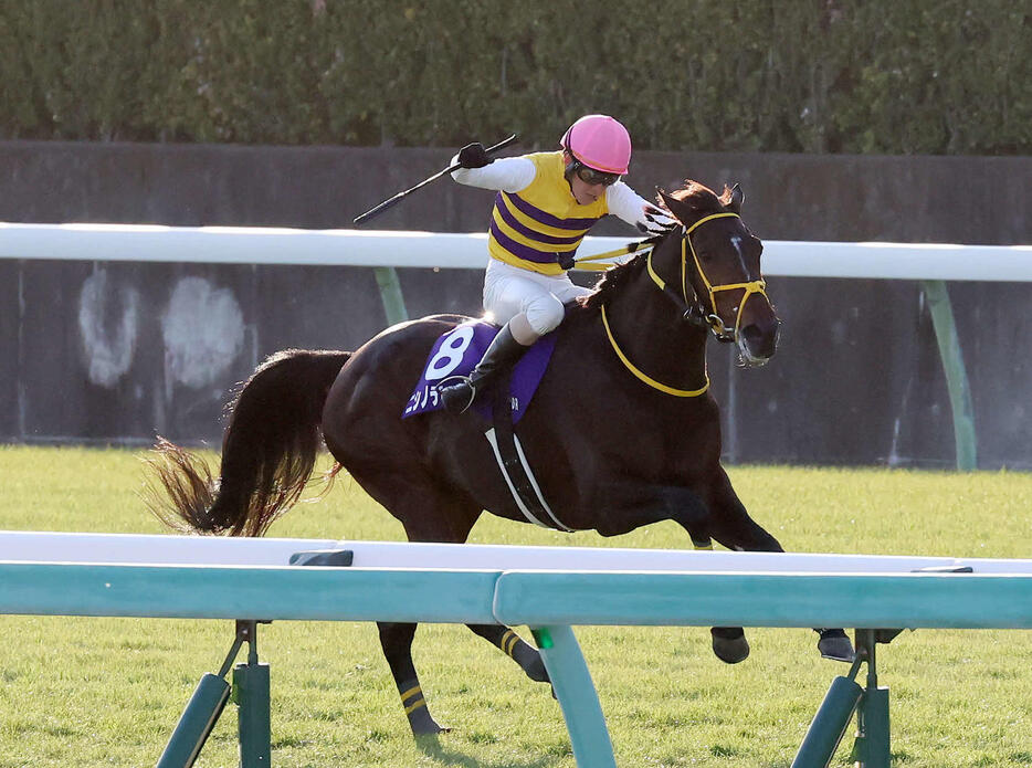 12月21日　中山大障害を制したニシノデイジーと五十嵐騎手