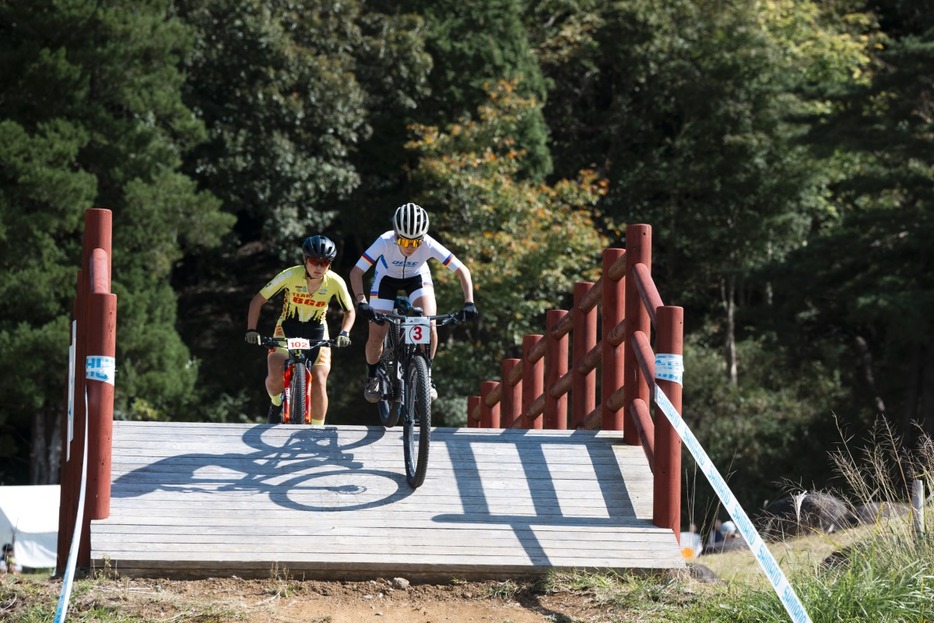 写真：Bicycle Club