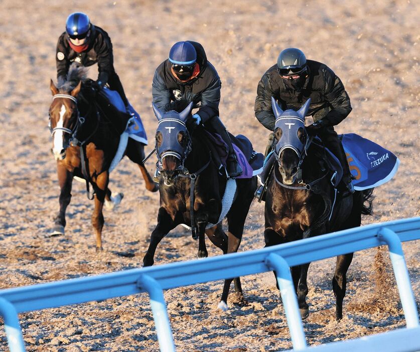 嶋田騎手を背にウッドチップコースでドゥラモンドと併せて追われるレイユール（中央）。左奥はマイネルクリソーラ