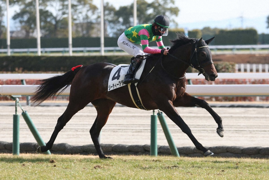 ＜中京5R＞直線で抜け出し勝利するジーティーアダマン（撮影・亀井　直樹）　