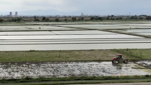 2024年の「農業」倒産　過去最多の87件　きのこ業者や農業ベンチャーの倒産が増加（写真はイメージ）