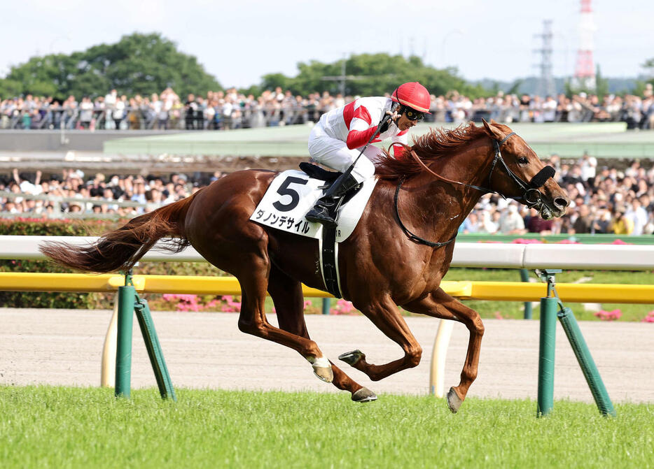 日本ダービーを制したダノンデサイルと横山典弘騎手