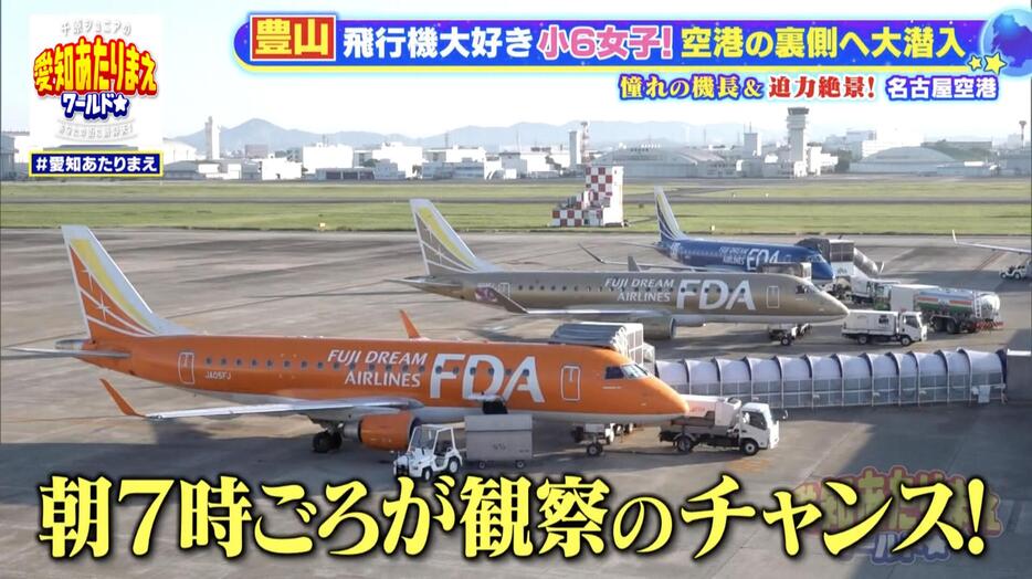 県営名古屋空港は飛行機マニアにとってたまらない“神スポット“だった！