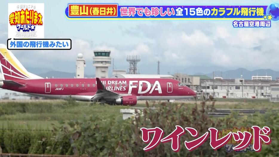 全部で15種類！FDAの飛行機は全て違うカラーリング