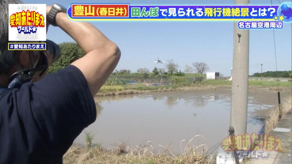 飛行機を間近でみられるだけでなく、田んぼにも映り込む