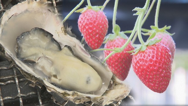 道の駅 黒井山グリーンパークにイチゴ狩り施設とカキ小屋がオープン