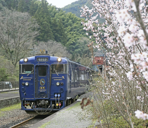 かわせみ　やませみ