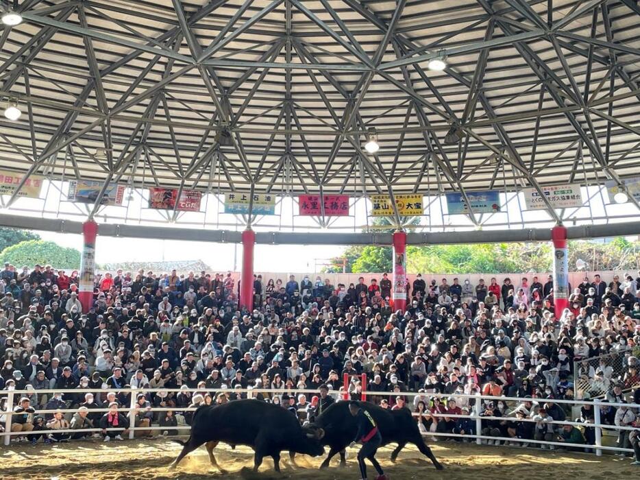 総額400万円相当の賞品抽選会とともに大いに盛り上がった還暦記念闘牛大会（伊仙町なくさみ館）