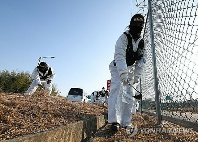 1日午後、事故現場の周辺で調査を行う警察関係者＝（聯合ニュース）