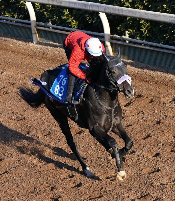 フリームファクシ＝栗東トレセン（撮影・岩川晋也）