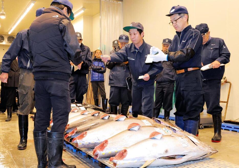 次々と競り落とされていくマグロ＝姫路市中央卸売市場