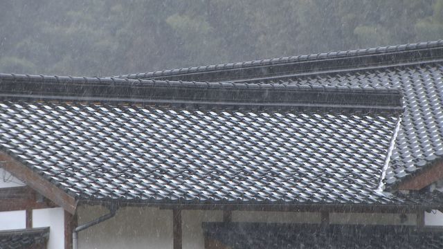 佐賀市富士町（7日）