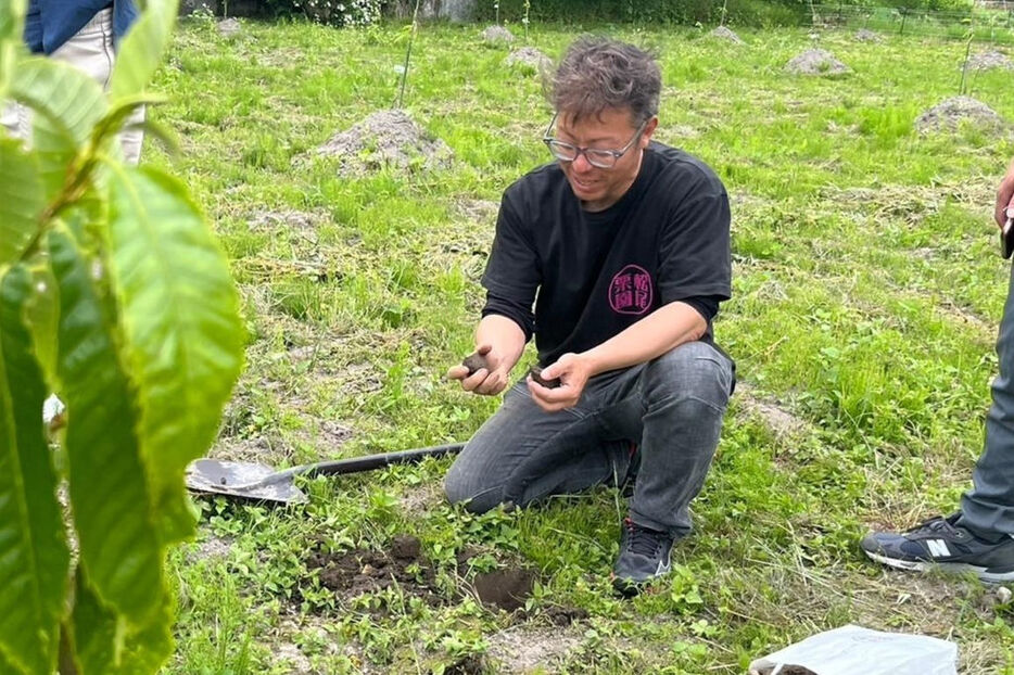 栗園を視察し土壌を確認する松尾和広さん＝静岡県内（松尾さん提供）