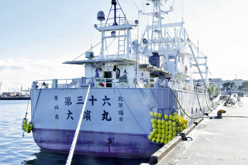 第８大浜丸と船団を組んでいた運搬船（８日、銚子市で）