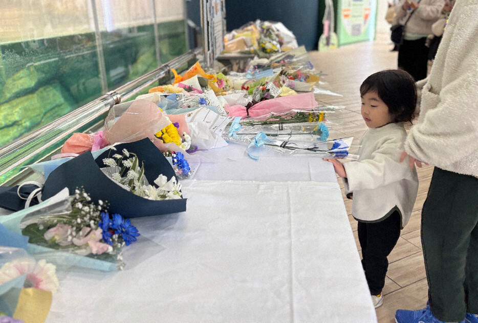 ラッコプール前の献花台では花を手向ける子どもの姿もあった＝福岡市東区のマリンワールド海の中道で２０２５年１月５日午前１１時５５分、松本光央撮影