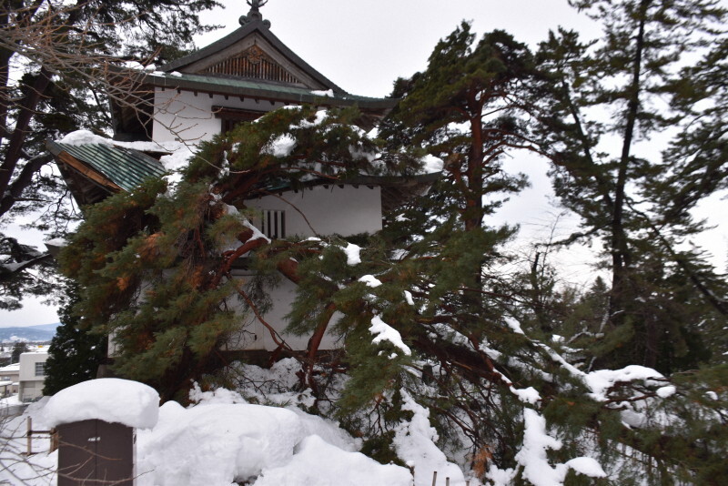 雪の重みで折れた松が倒れかかり、被害を受けた国指定重要文化財の弘前城二の丸未申櫓＝青森県弘前市で2025年1月6日午後2時26分、江沢雄志撮影